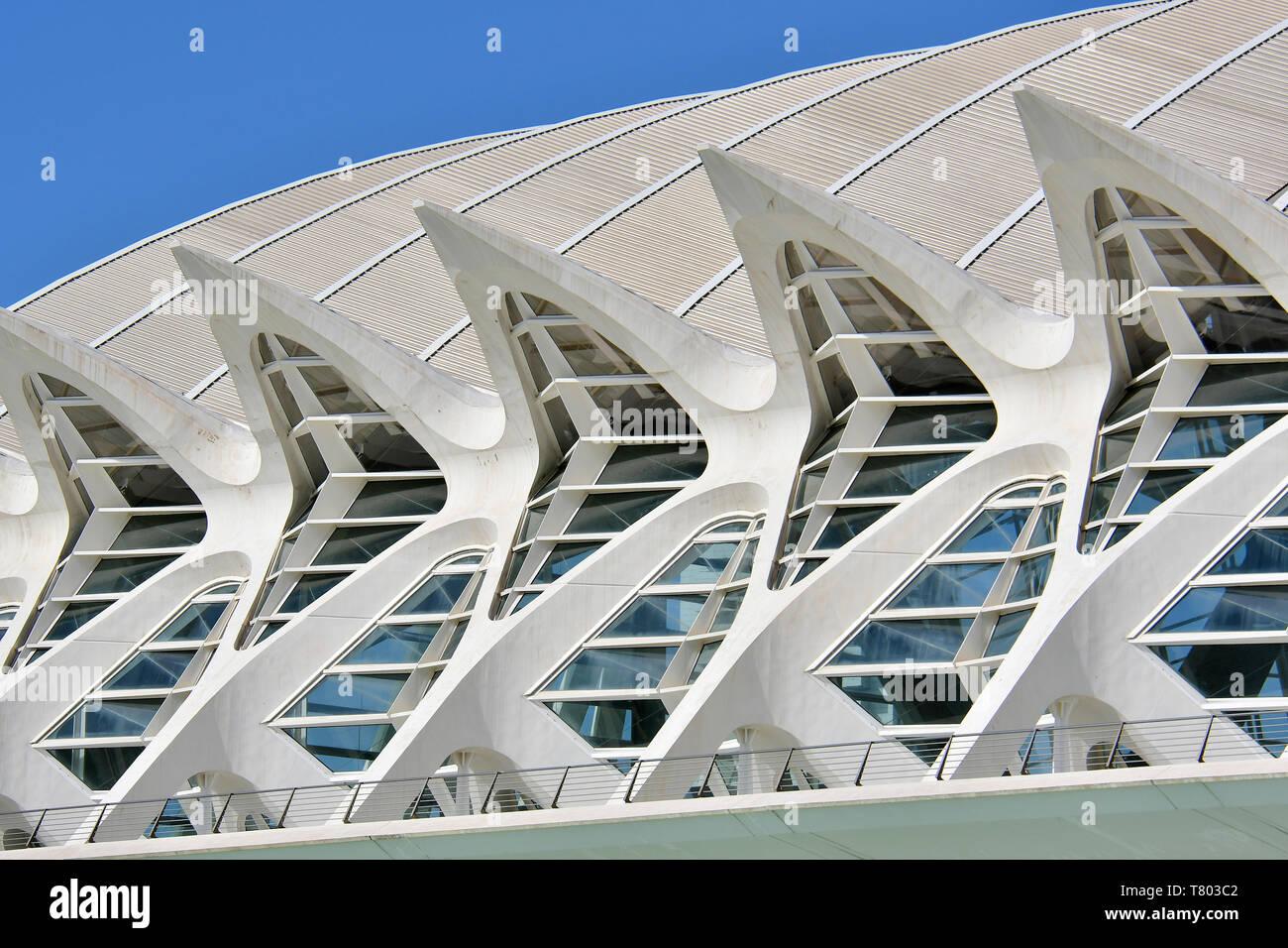 Stadt der Künste und Wissenschaften, Ciudad de las Artes y las Ciencias, El Museu de les Ciències Príncipe Felipe, Valencia, Comunidad Valenciana, Spanien Stockfoto