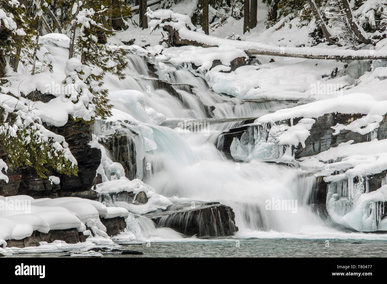 Wasserfall im Winter, Glacier NP Stockfoto