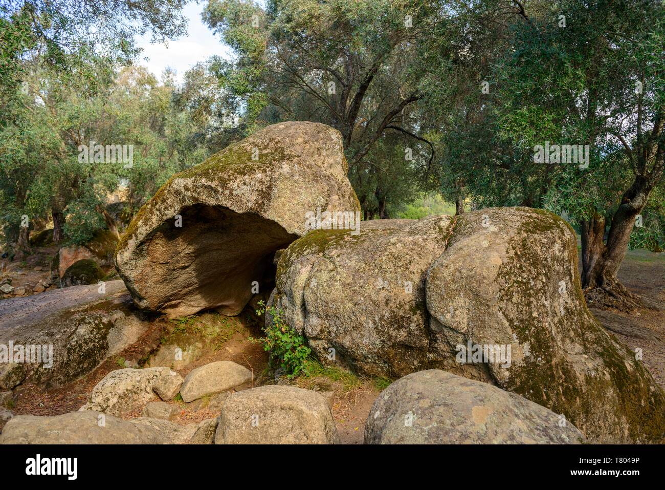 Tafone, Granit Stein ausgehöhlt durch natürliche Bewitterung, Filitosa, Korsika, Korsika, Frankreich Stockfoto