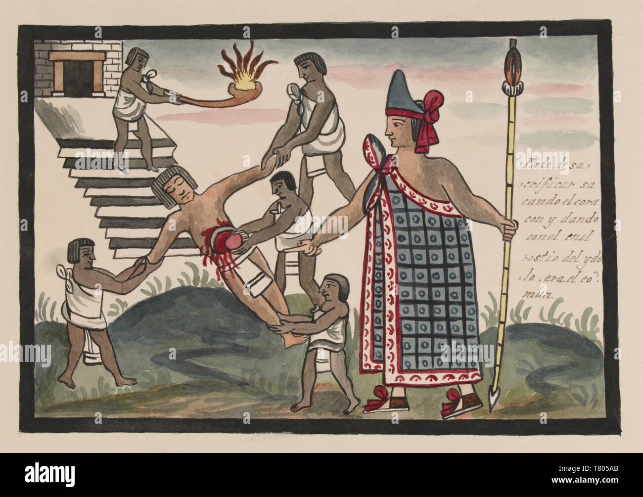 Tovar Codex, Aztekischen Priester führt Menschen opfern Stockfoto