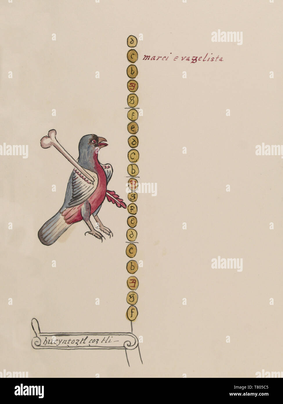 Tovar Codex, Hueytozoztli, 4. Monat aztekische Kalender Stockfoto