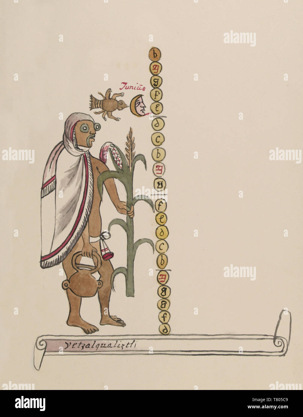 Tovar Codex, Etzalcualiztli, 6 Monat aztekische Kalender Stockfoto
