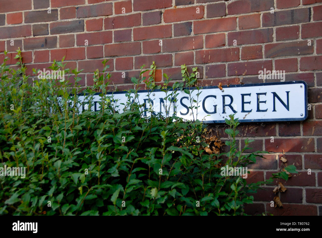 Straße Name sign durch die überwachsenen Vegetation versteckt, Norfolk, England Stockfoto