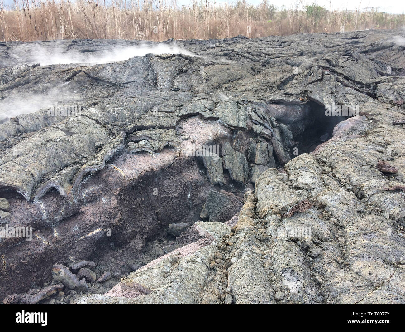 Kilauea Eruption, 2018 Stockfoto