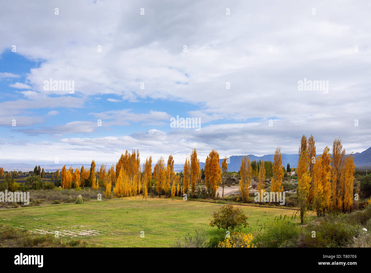 Typische Mendocino feld landschaft auf Herbst, Mendoza, Argentinien Stockfoto