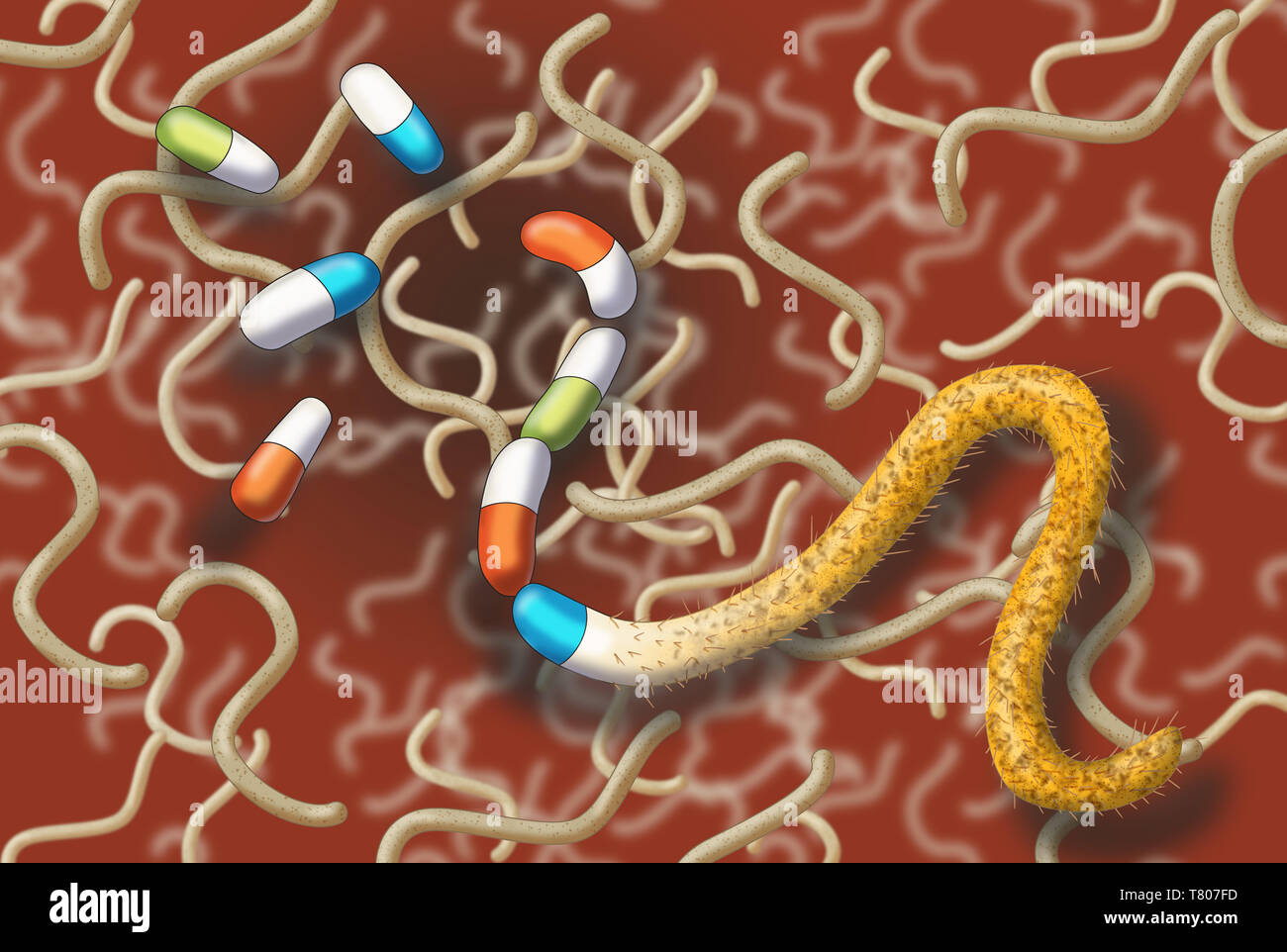 Antibiotika-resistente Bakterien, Abbildung Stockfoto