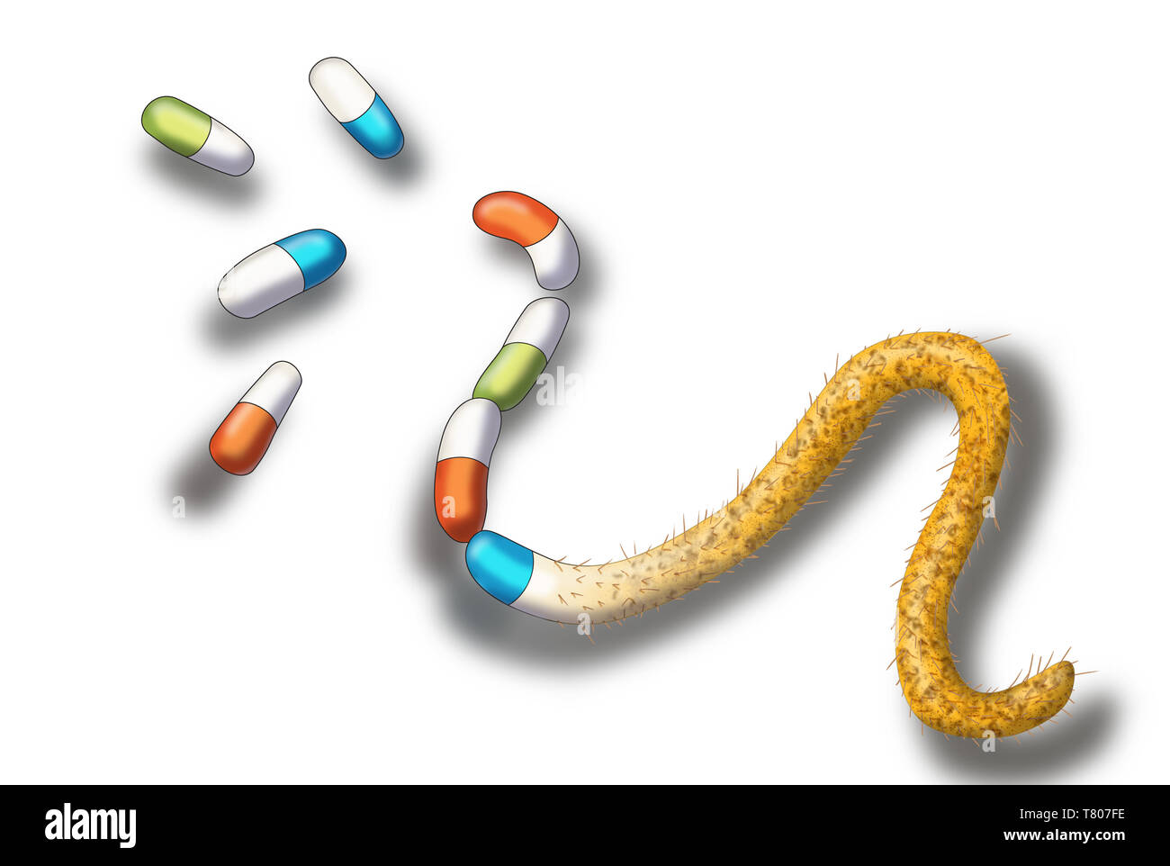 Antibiotika-resistente Bakterien, Abbildung Stockfoto