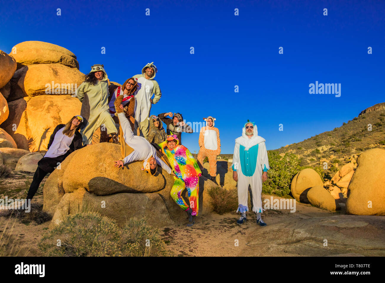 Eine Gruppe von Freunden im Geiste Tier onesies feiern das neue Jahr in Joshua Tree, Kalifornien, Vereinigte Staaten von Amerika, Nordamerika Stockfoto