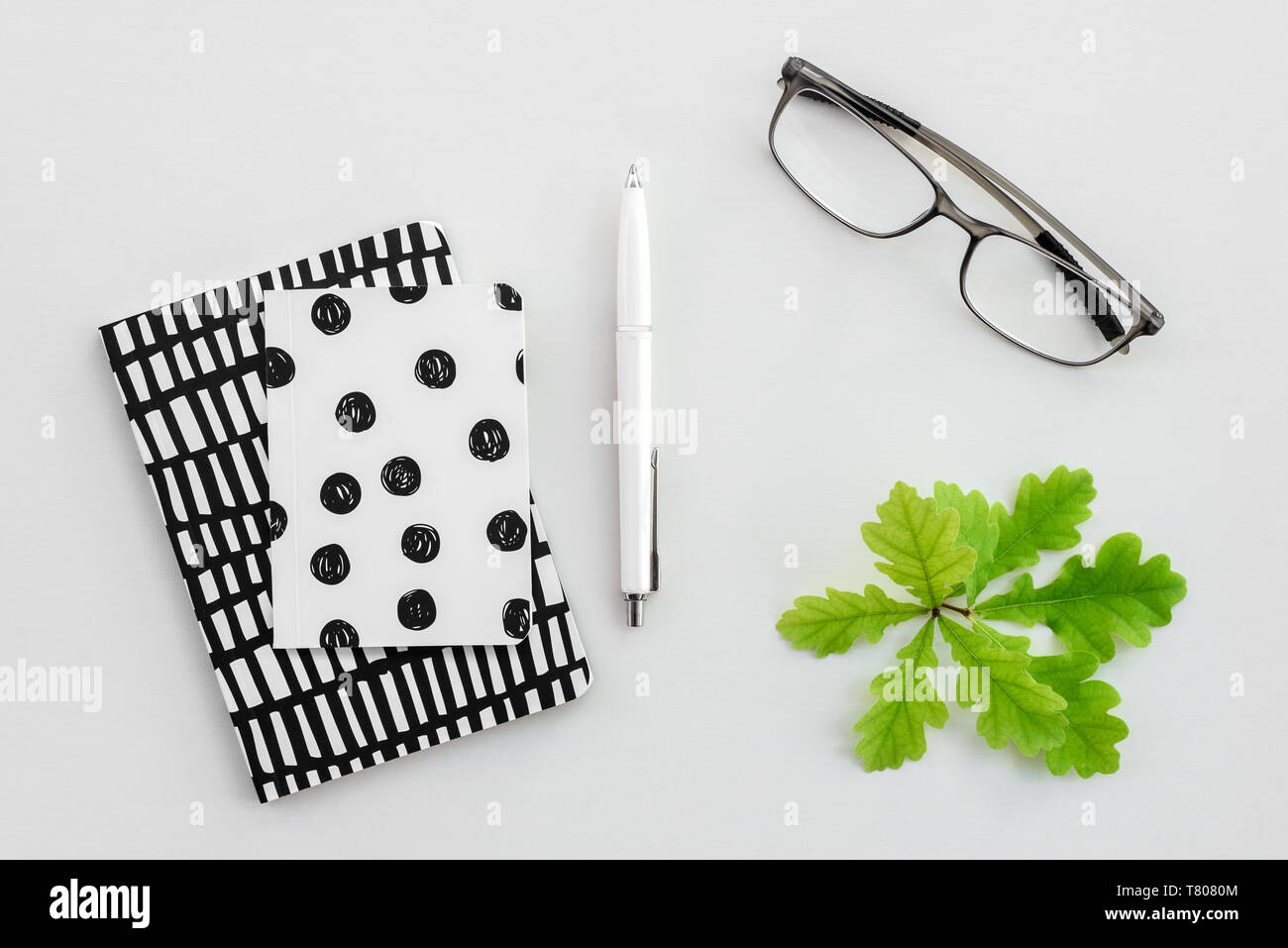 Zwei kleine Notizblöcke, Kugelschreiber, Gläser und junge eichenlaub auf der weißen Leinwand Hintergrund. Stockfoto