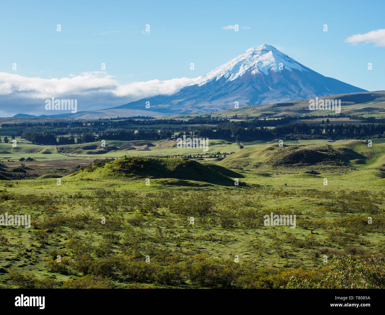 Vulkan Cotopaxi, Cotopaxi Nationalpark, Anden, Ecuador, Südamerika Stockfoto
