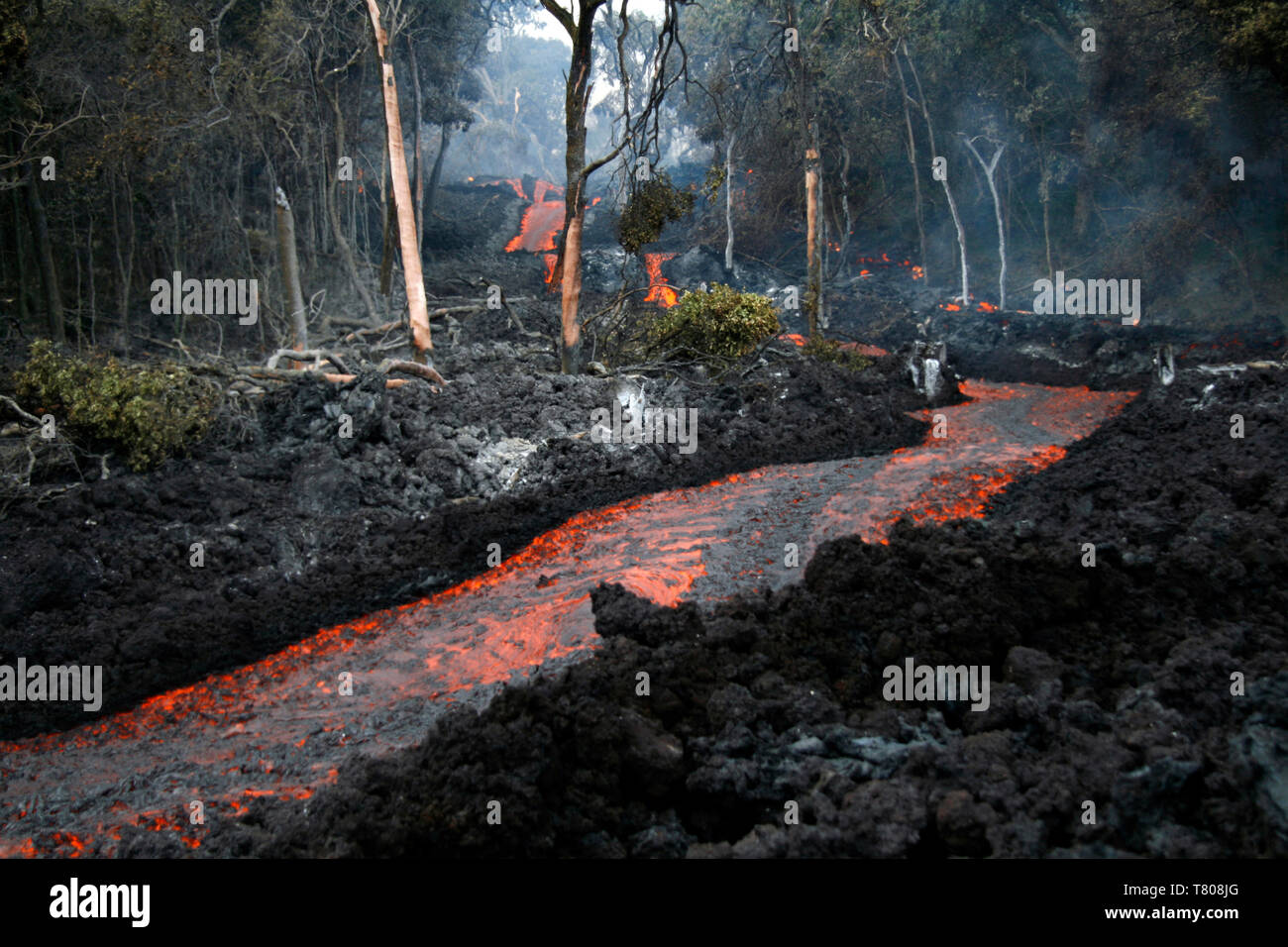 Kilauea Ausbruch im Jahr 2008 Stockfoto