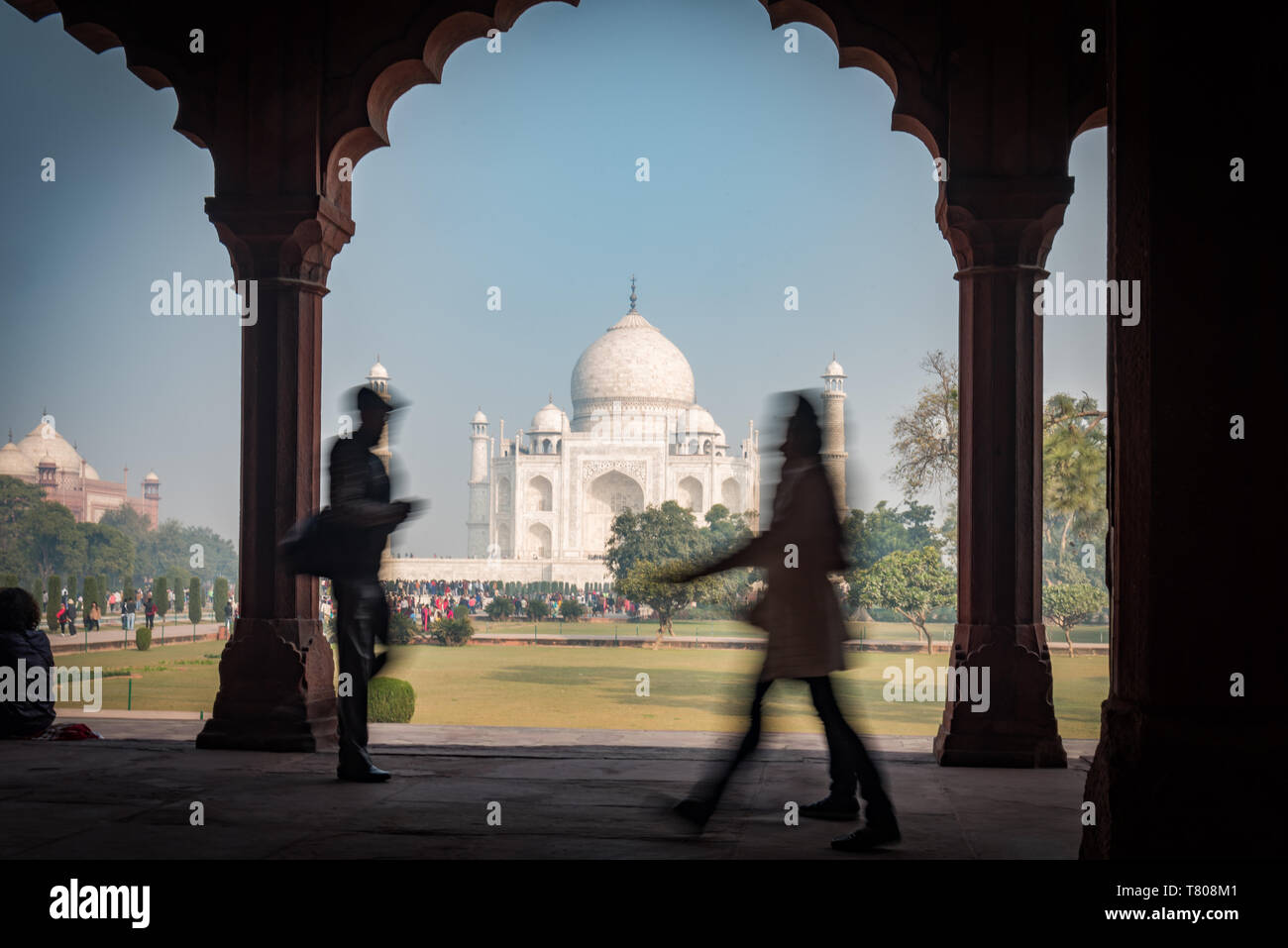 Das Taj Mahal, UNESCO-Weltkulturerbe, Agra, Uttar Pradesh, Indien, Asien Stockfoto