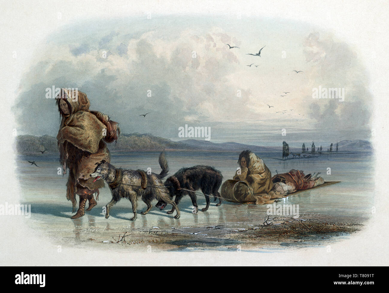 Native American Mandan indischen Hundeschlitten, 1830 s Stockfoto