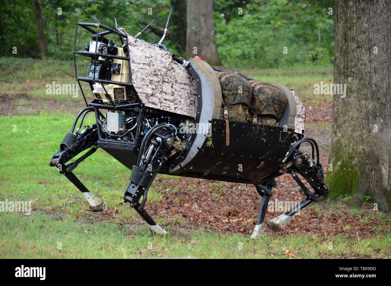 Roboter, Legged Squad Support System (LS3) Stockfoto