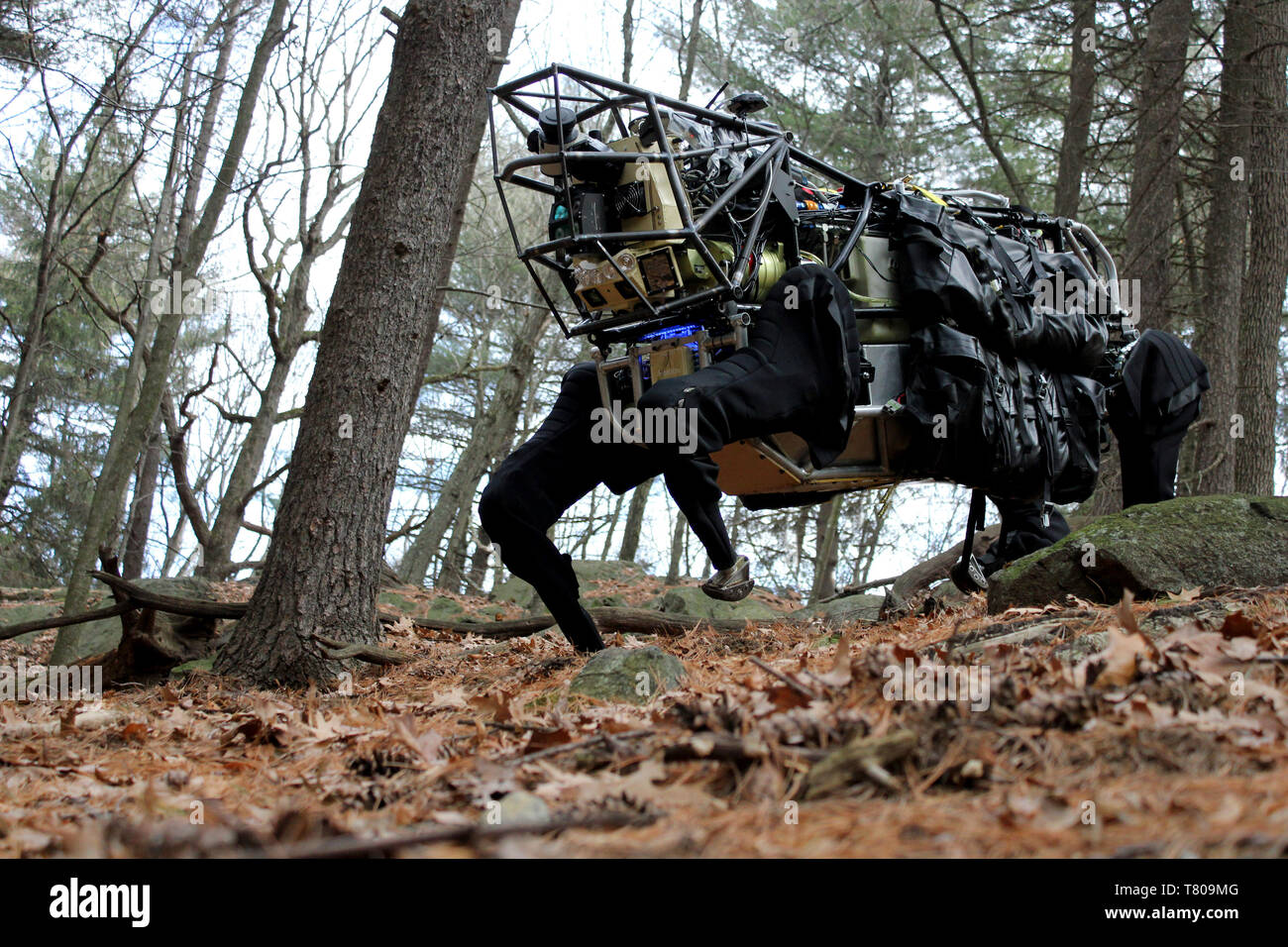 Roboter, Legged Squad Support System (LS3) Stockfoto