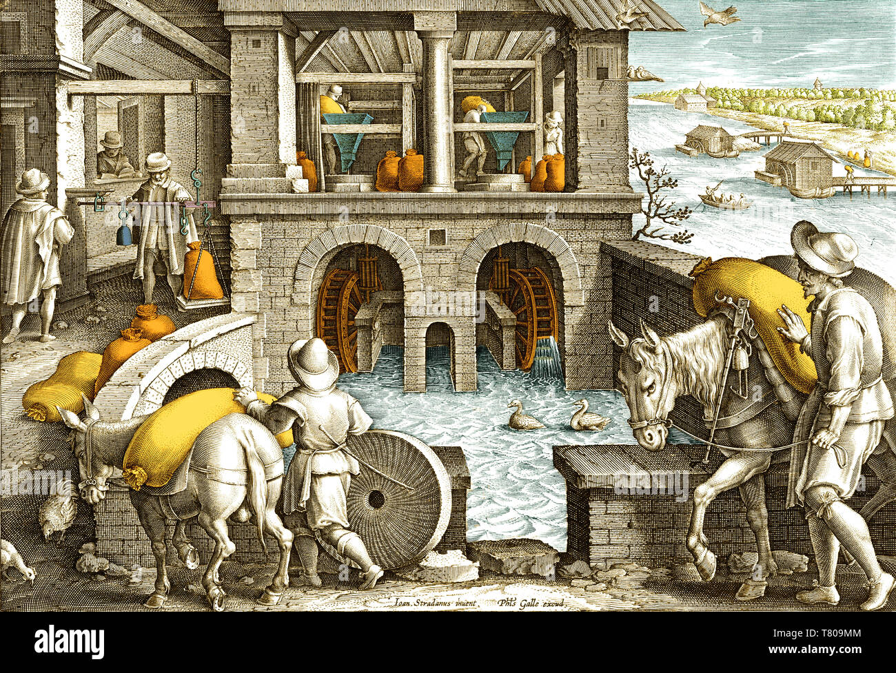 Die Körner zur Wassermühle, 16. Jahrhundert Stockfoto