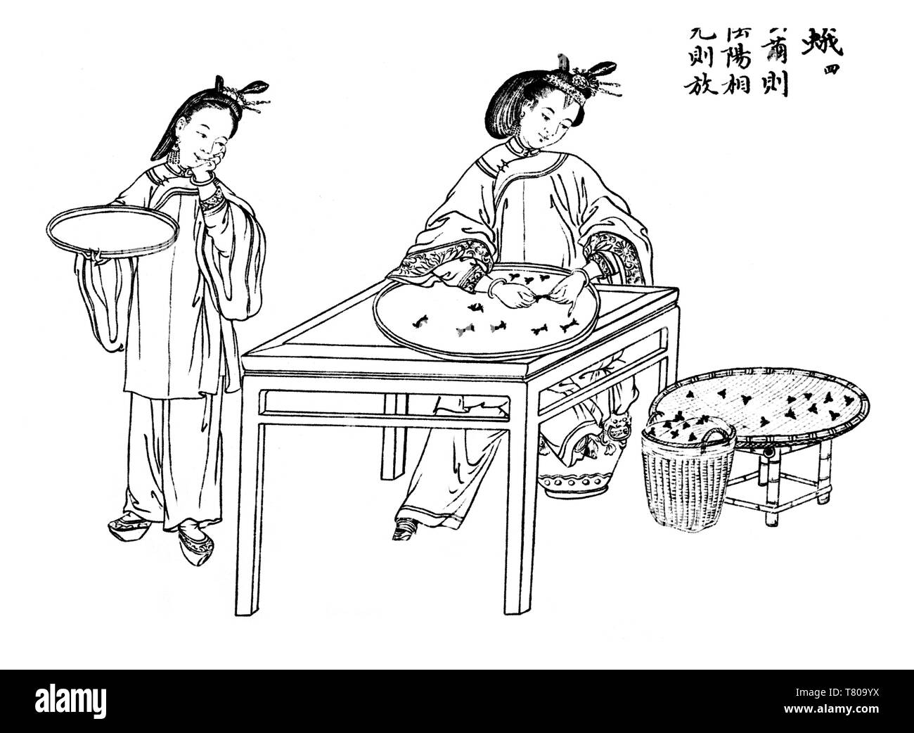 Sortierung Seidenraupenkokons, Seide in China, Stockfoto