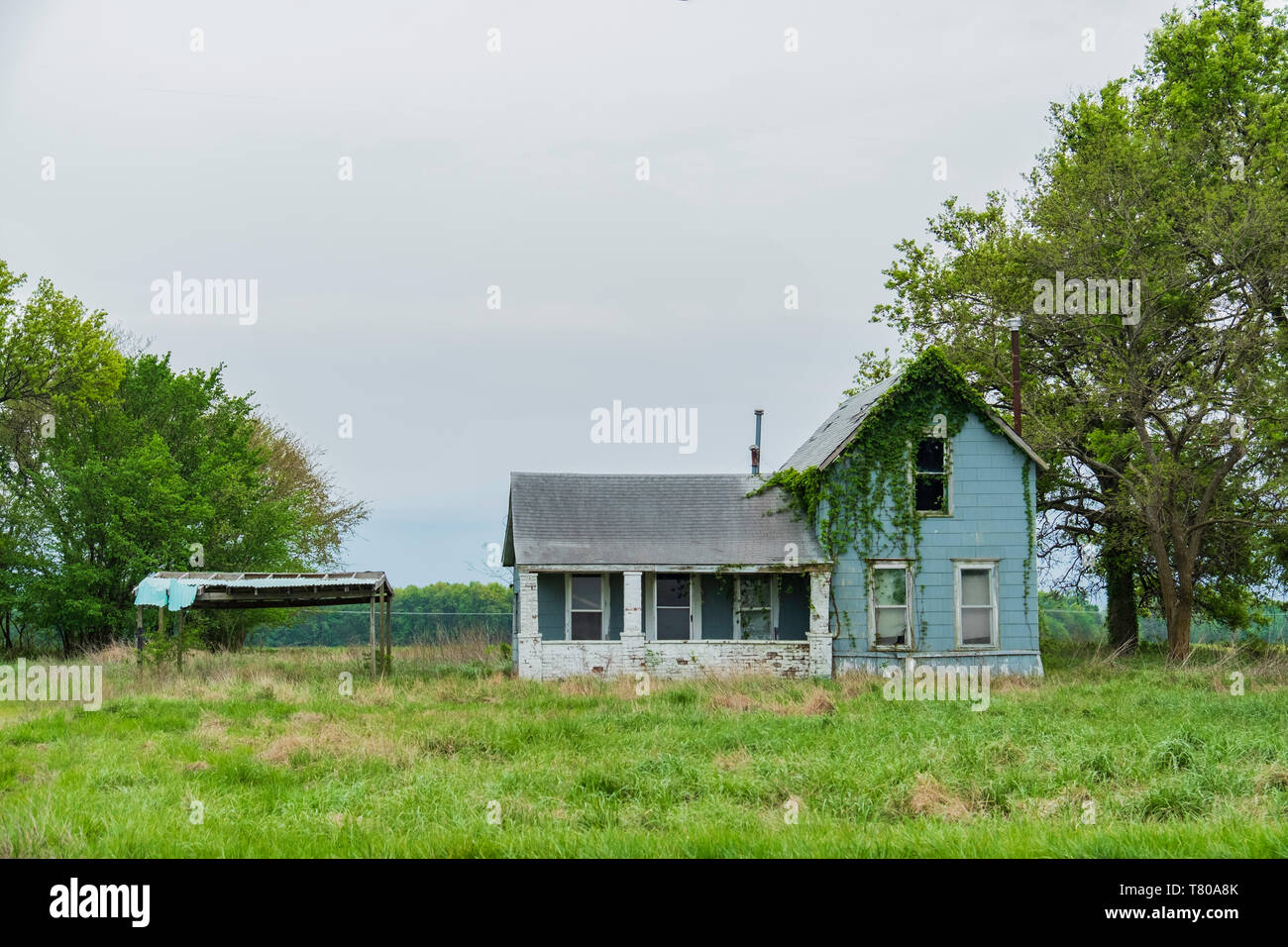 Altes verfallenes verlassenes, mit Weinreben bedecktes Bauernhaus im ländlichen Kentucky, USA. Stockfoto