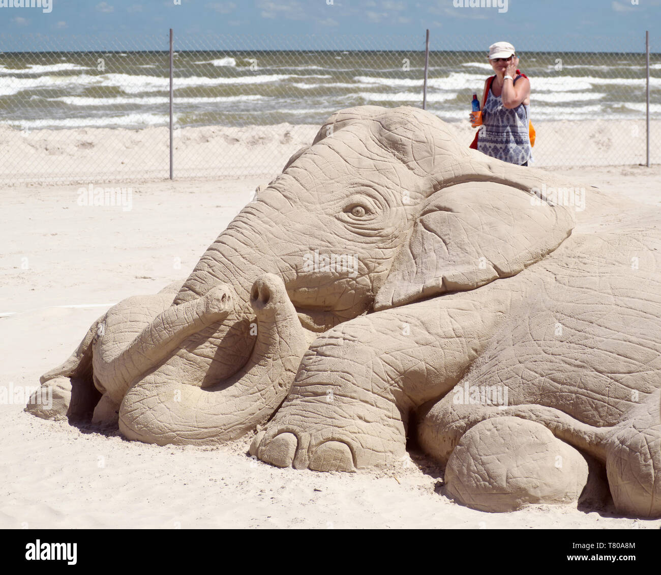 Paul's Hoggard Sand Skulptur, 'Speichern der Elefanten", an der 2019 Texas Sandfest in Port Aransas, Texas USA. Stockfoto