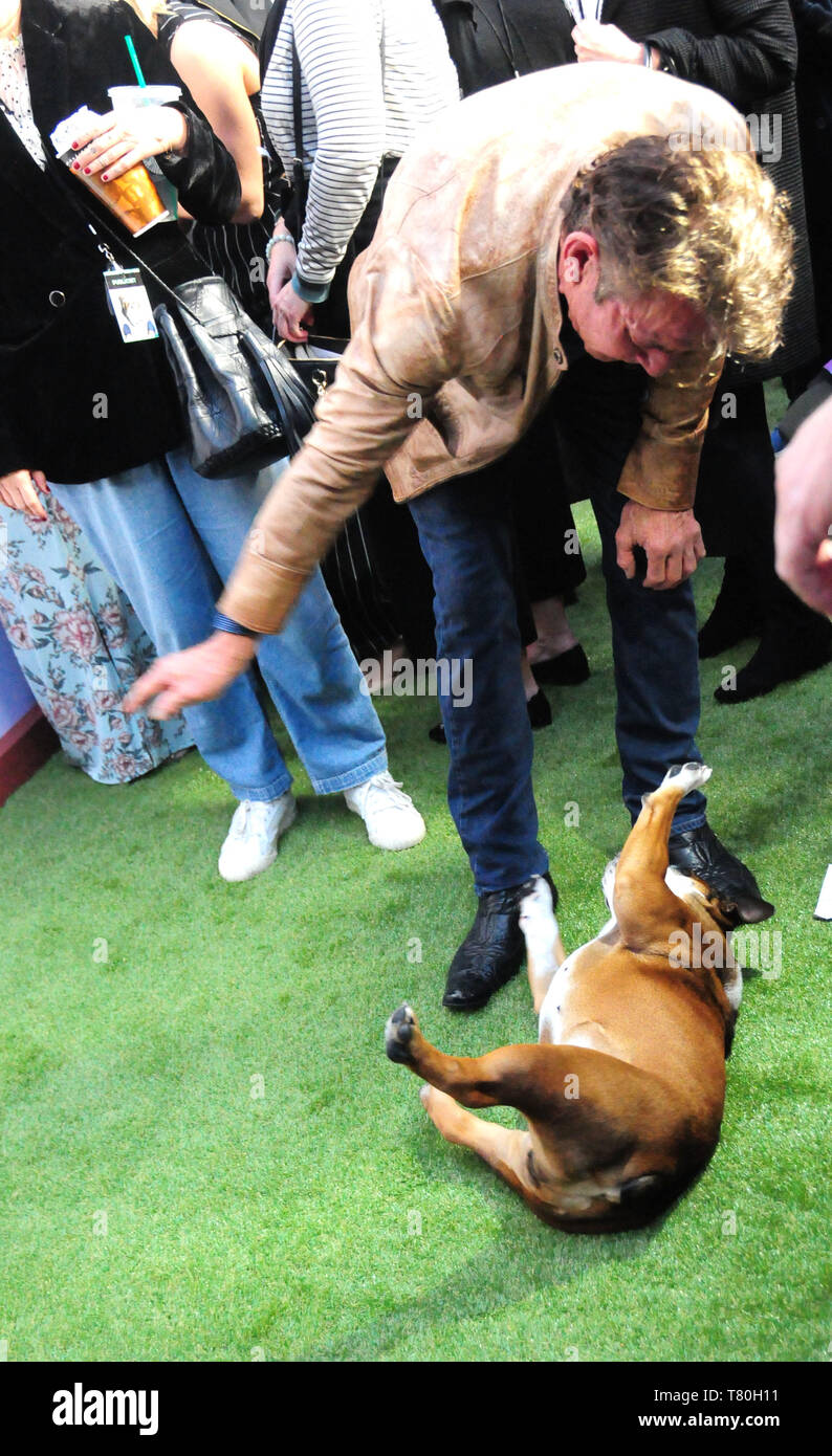 Los Angeles, Kalifornien, USA, 9. Mai 2019 Schauspieler Dennis Quaid und seinem Hund Pfirsiche an Universal Pictures und Amblin Entertainment präsentieren die Premiere der Hund Reise auf Mai 9, 2019 at Arclight Hollywood in Los Angeles, Kalifornien, USA. Foto von Barry King/Alamy leben Nachrichten Stockfoto