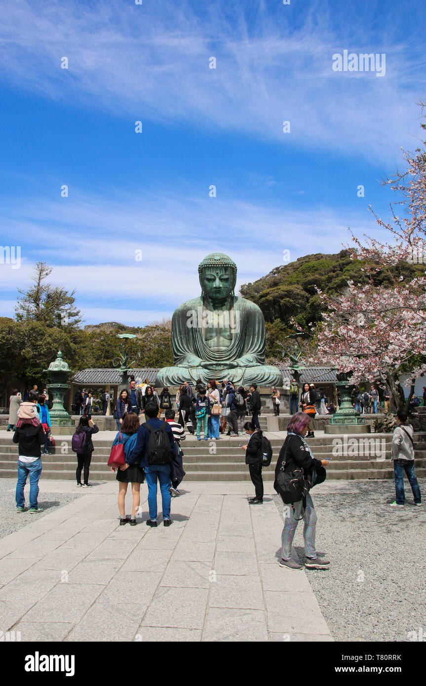 KAMAKURA, Japan - 05 April, 2019: Großer Buddha (daibutsu) auf dem Gelände des Kotokuin Tempel in Kamakura, Japan Stockfoto