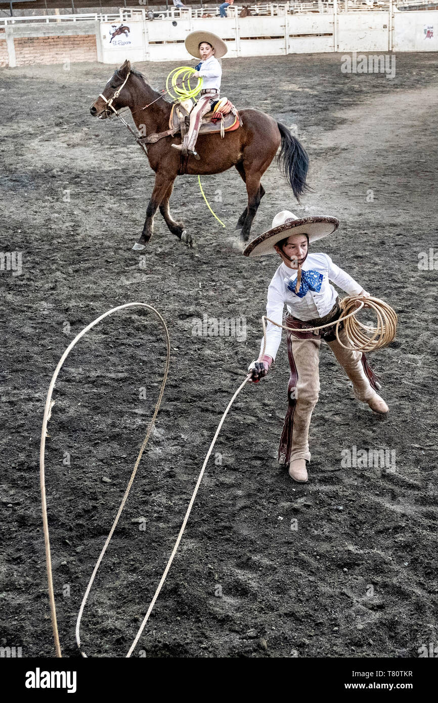 Junge Juan Franco von der legendären Franco Familie von Charro Champions, Seile ein wildes Pferd während einer Familie Praxis in der jalisco Hochland Stadt Capilla de Guadalupe, Mexiko. Die roping Ereignis ist Manganas eine Torte oder Abseilen zu Fuß bezeichnet und beinhaltet eine Charro zu Fuß ist eine wilde Stute Seil, indem Sie die vorderen Beine und lassen ihn fallen und einmal rollen. Die wilde Stute ist gejagt um den Ring durch drei montiert Charros. Stockfoto