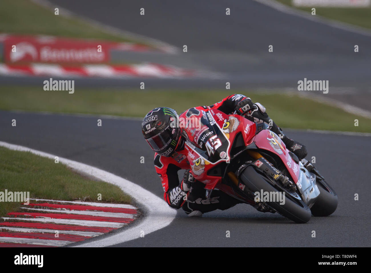 Ex Moto Gp Fahrer Scott Redding racing in der 2019 British Superbike Championship in Oulton Park Stockfoto