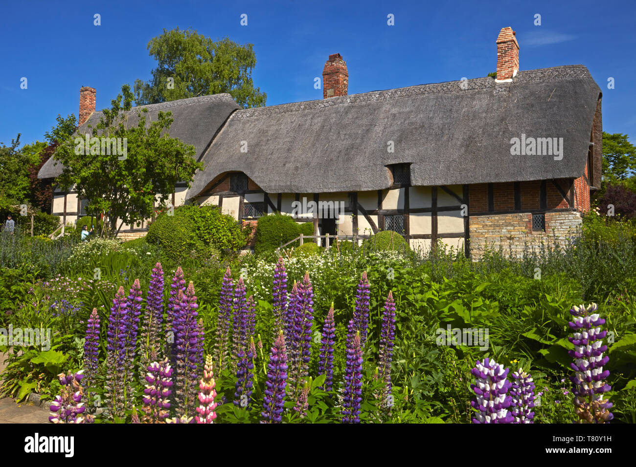 Anne Hathaway's Cottage, Shottery, Stratford-upon-Avon, Warwickshire, England, Vereinigtes Königreich, Europa Stockfoto