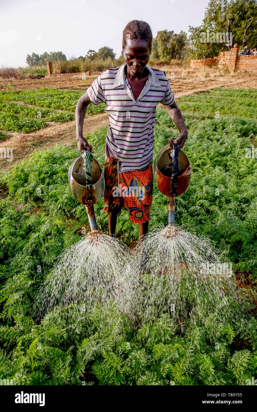 Frau Bewässerung ein Gemüsegarten in Loumbila, Burkina Faso, Westafrika, Afrika Stockfoto