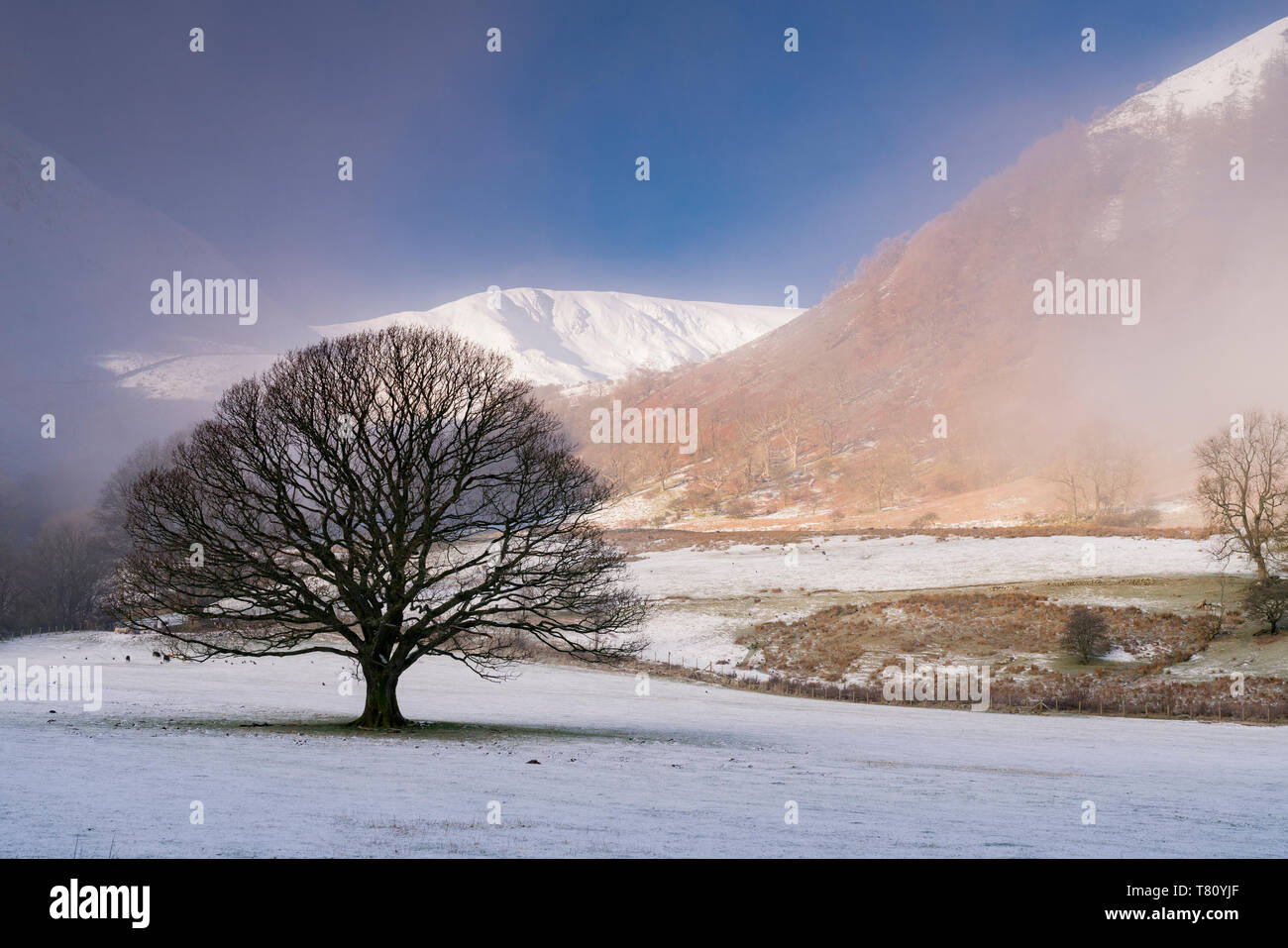 Schnee und Nebel an Glencoyne, Ullswater, Lake District National Park, UNESCO-Weltkulturerbe, Cumbria, England, Vereinigtes Königreich, Europa Stockfoto