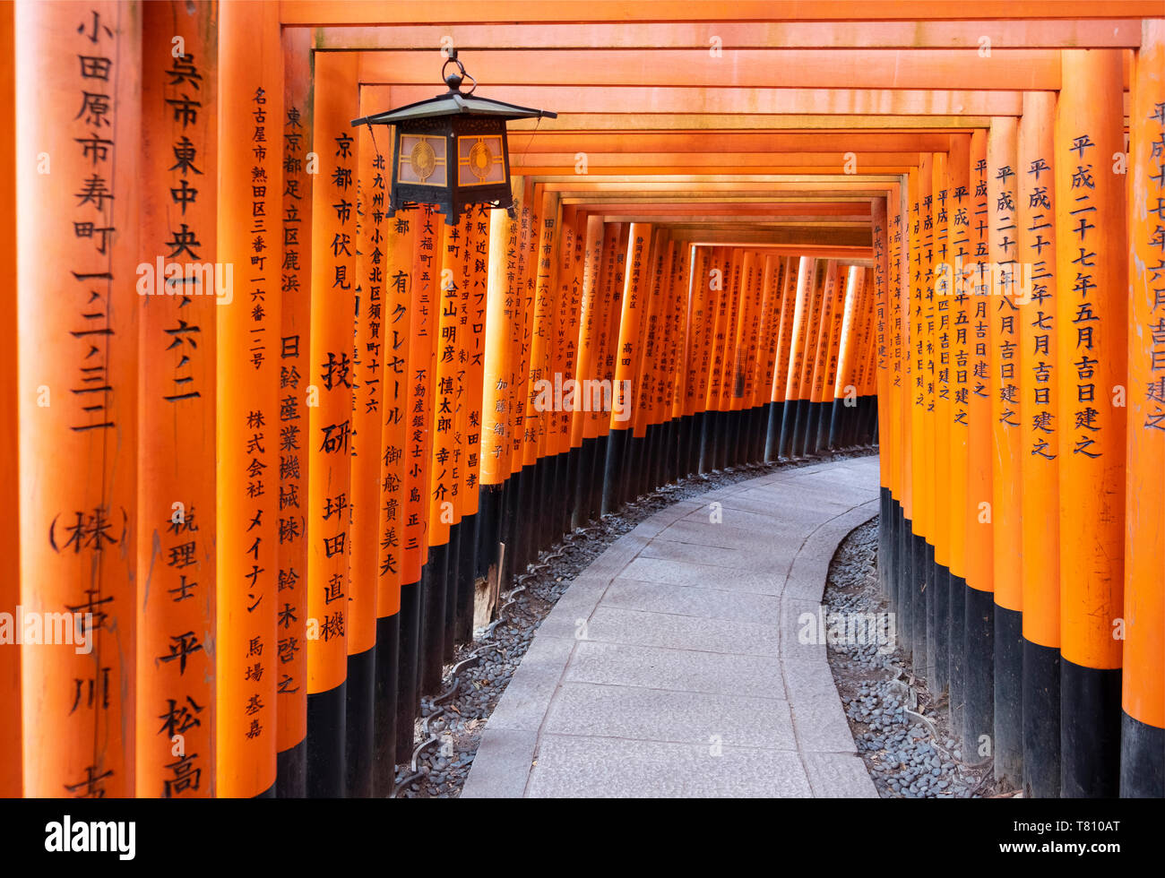 Red Gates im Fushimi Inari Taisha, ein Shinto Schrein auf dem Berg Inari, Kyoto, Arashiyama, Japan, Asien Stockfoto