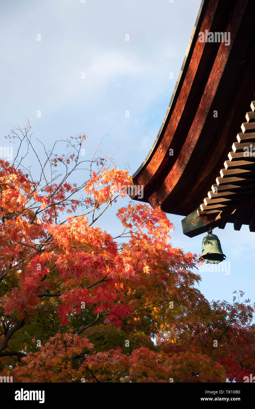 Helles orange Acer Blätter neben einer Glocke und das Holzdach des Hida Kakubun-ji-Pagode in Takayama, Japan, Asien Stockfoto