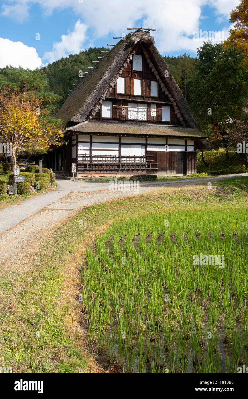 Nishiokas House, einem traditionellen strohgedeckten Gebäude und ein Reisfeld im Hida Folk Village, Hida keine Sato, Takayama, Honshu, Japan, Asien Stockfoto