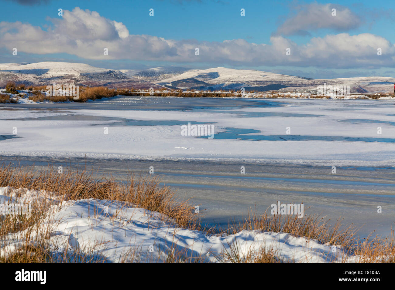 Tierpfleger Teich, Blaenavon, Brecon Beacons, South Wales, Großbritannien, Europa Stockfoto