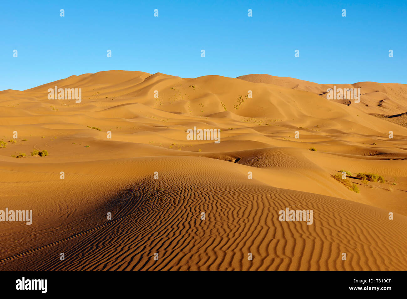 Badain Jaran Wüste, Wüste Gobi, der Inneren Mongolei, China, Asien Stockfoto