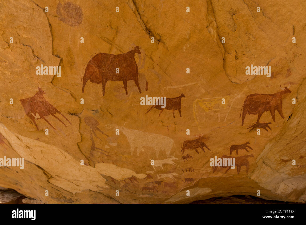 Ennedi Plateau, UNESCO-Weltkulturerbe, Region Ennedi, Tschad, Afrika Stockfoto
