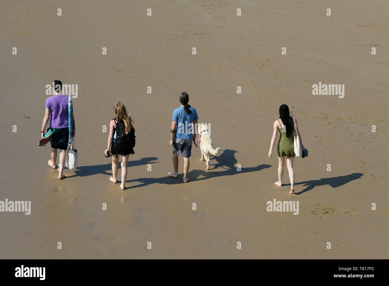 Zwei junge Paare zu Fuß am Strand mit Hund, Menschen, Freunde, Durban, KwaZulu-Natal, Südafrika, im Freien, Freizeit, Männer, Frauen Stockfoto