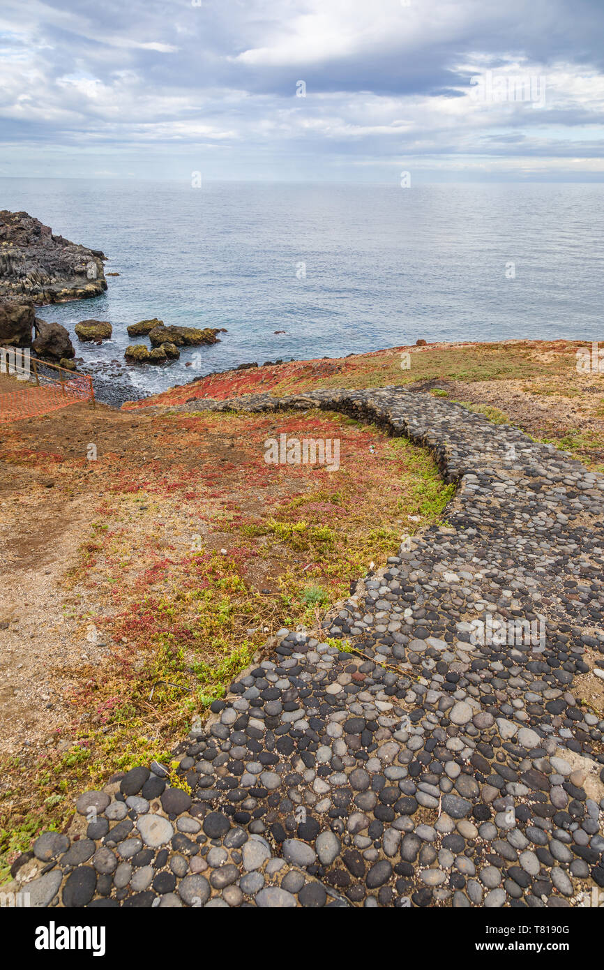 Die Vegetation auf den Felsen der Atlantischen Küste von Las Eras. Teneriffa, Kanarische Inseln, Spanien Stockfoto