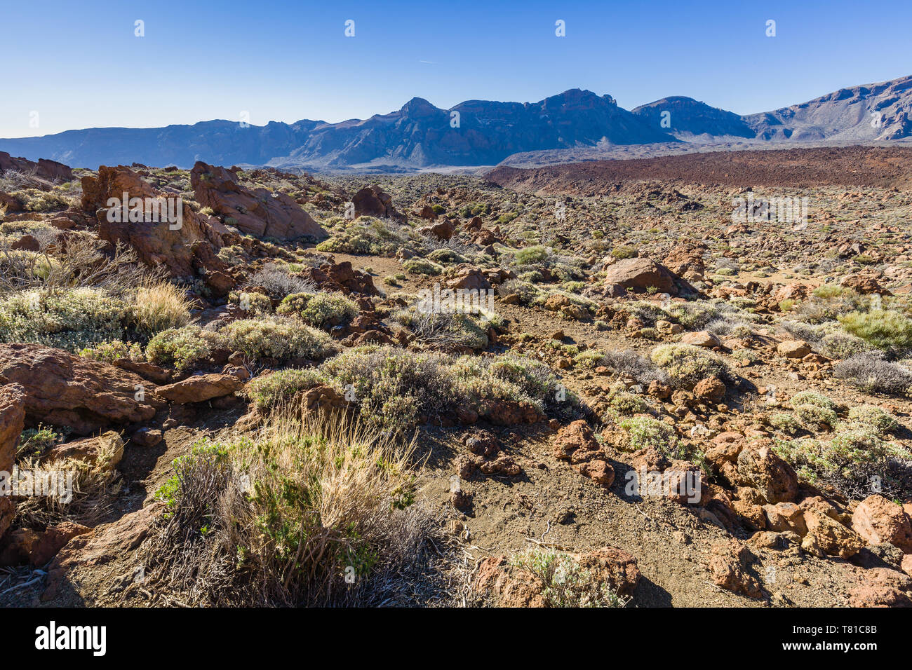 Hohen vulkanischen Gebirgskette von Teneriffa, Kanarische Inseln, Spanien Stockfoto