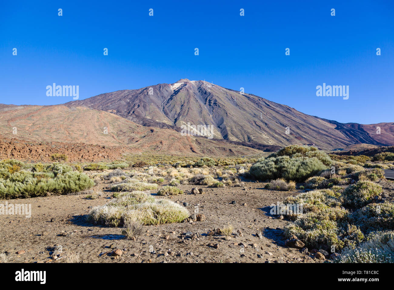 Pico del Teide ist der höchste Berg Spaniens. Seine Höhe beträgt ca. 7.500 m, 3.718 m über dem Meeresspiegel. Teneriffa, Kanarische Inseln, Spanien Stockfoto