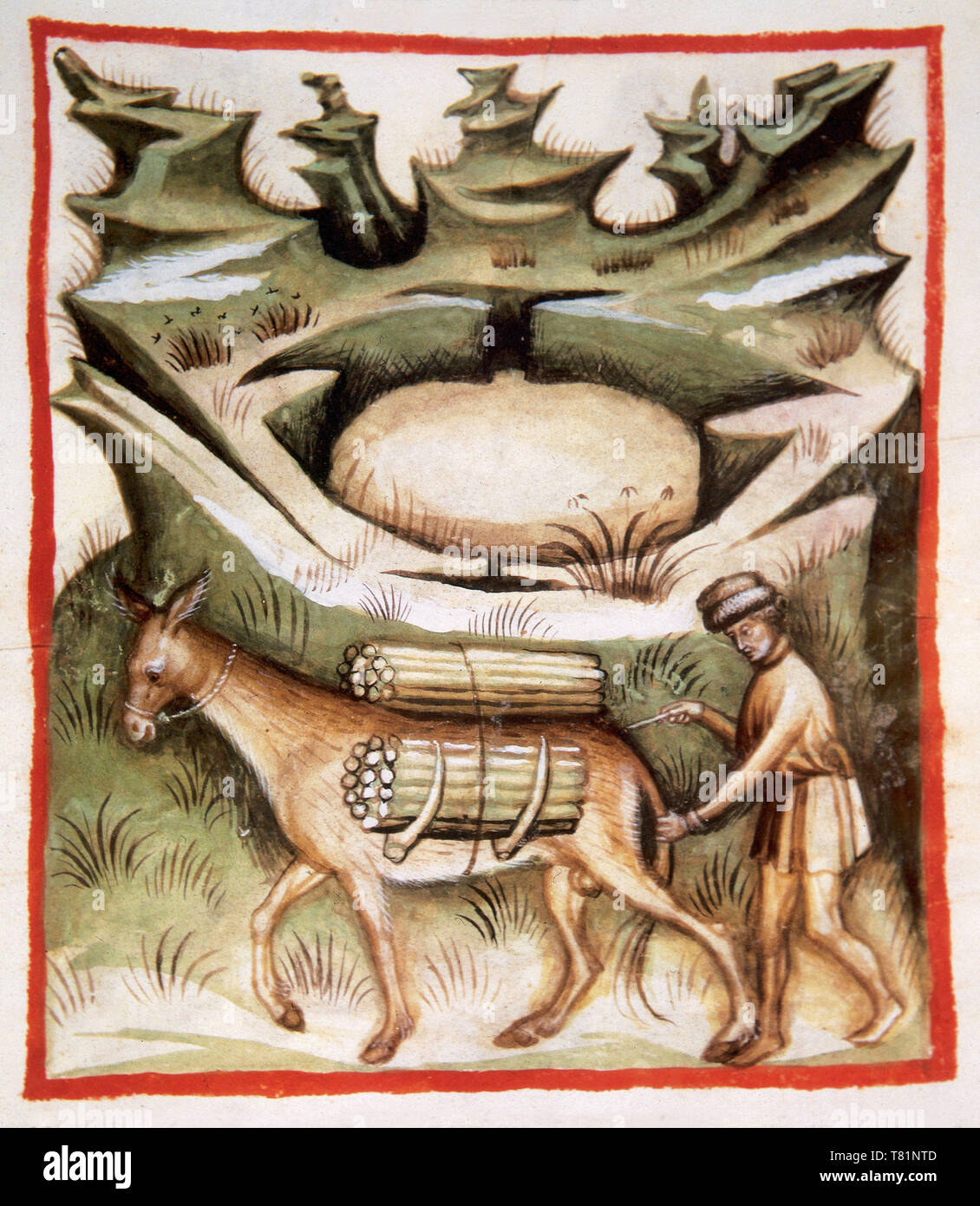 "Tacuinum Sanitatis", Eseltreiber mit Brennholz Stockfoto