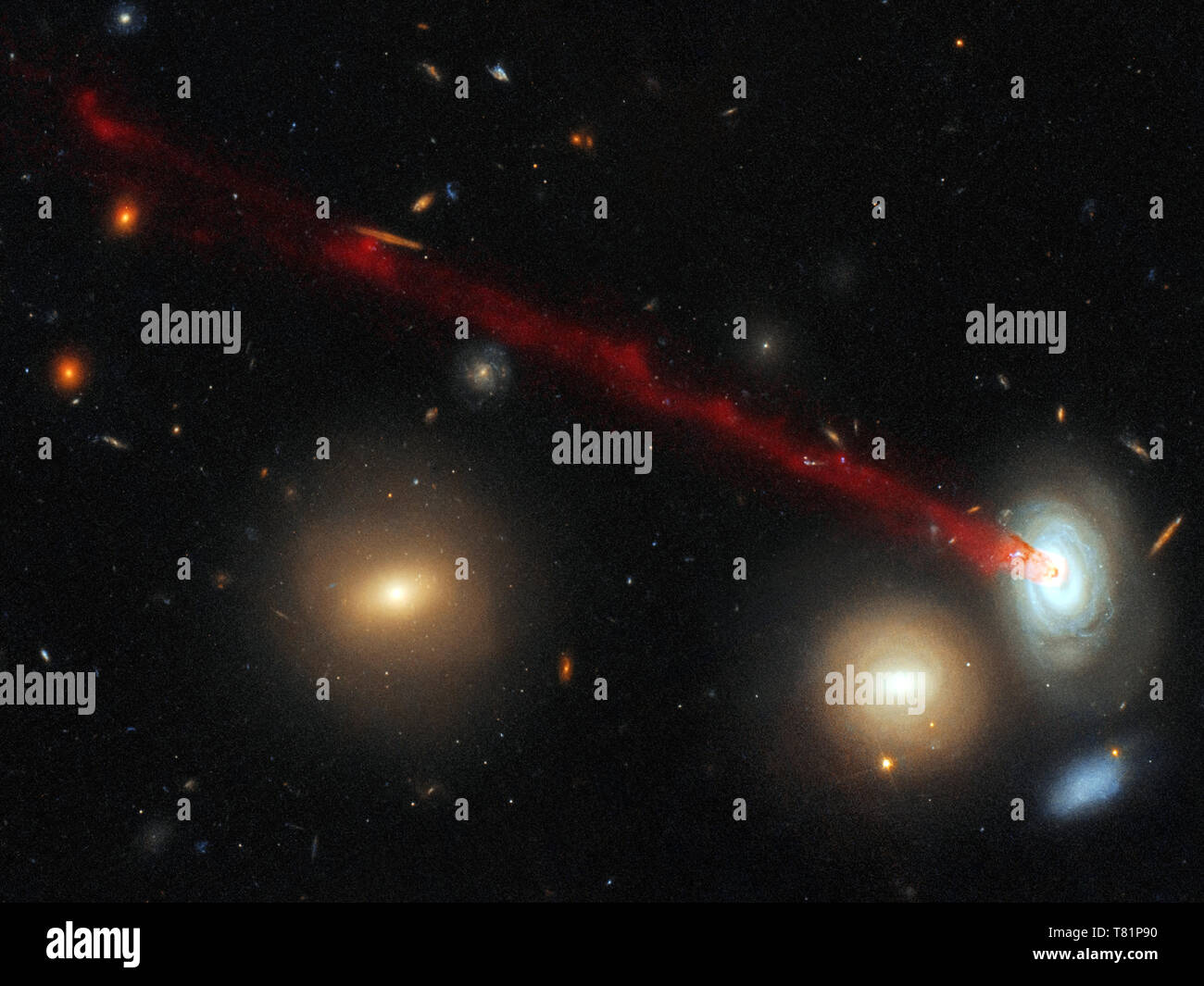 Spiralgalaxie D100 mit Schwanz Stockfoto