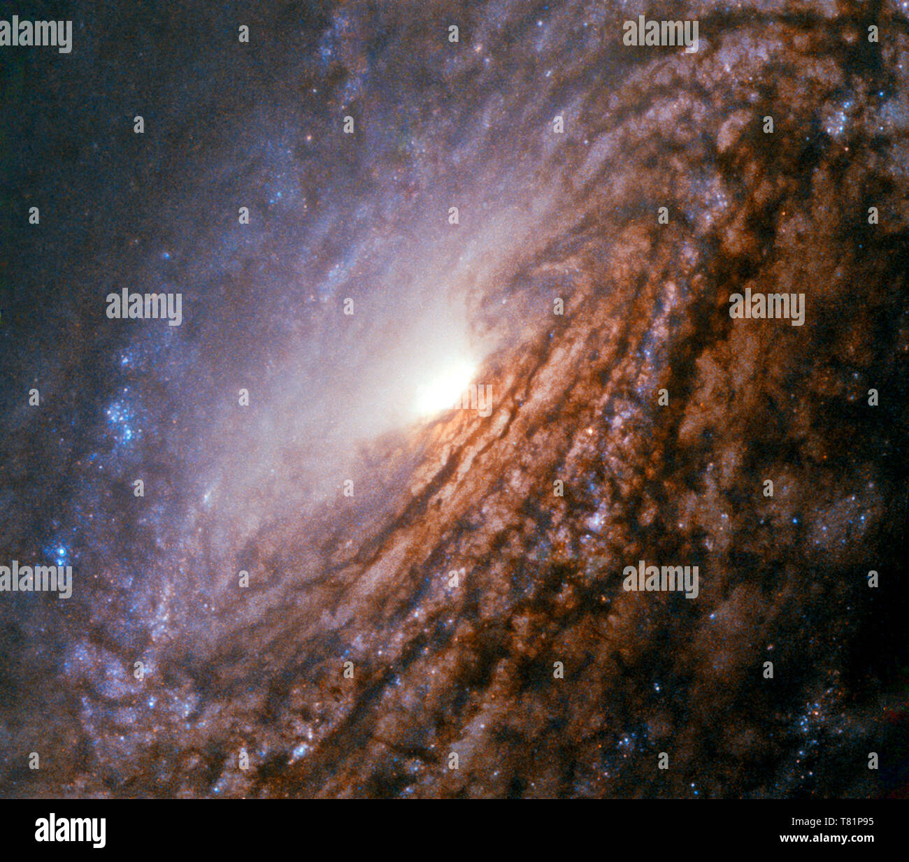Unbarred Spiralgalaxie NGC 5033 Stockfoto