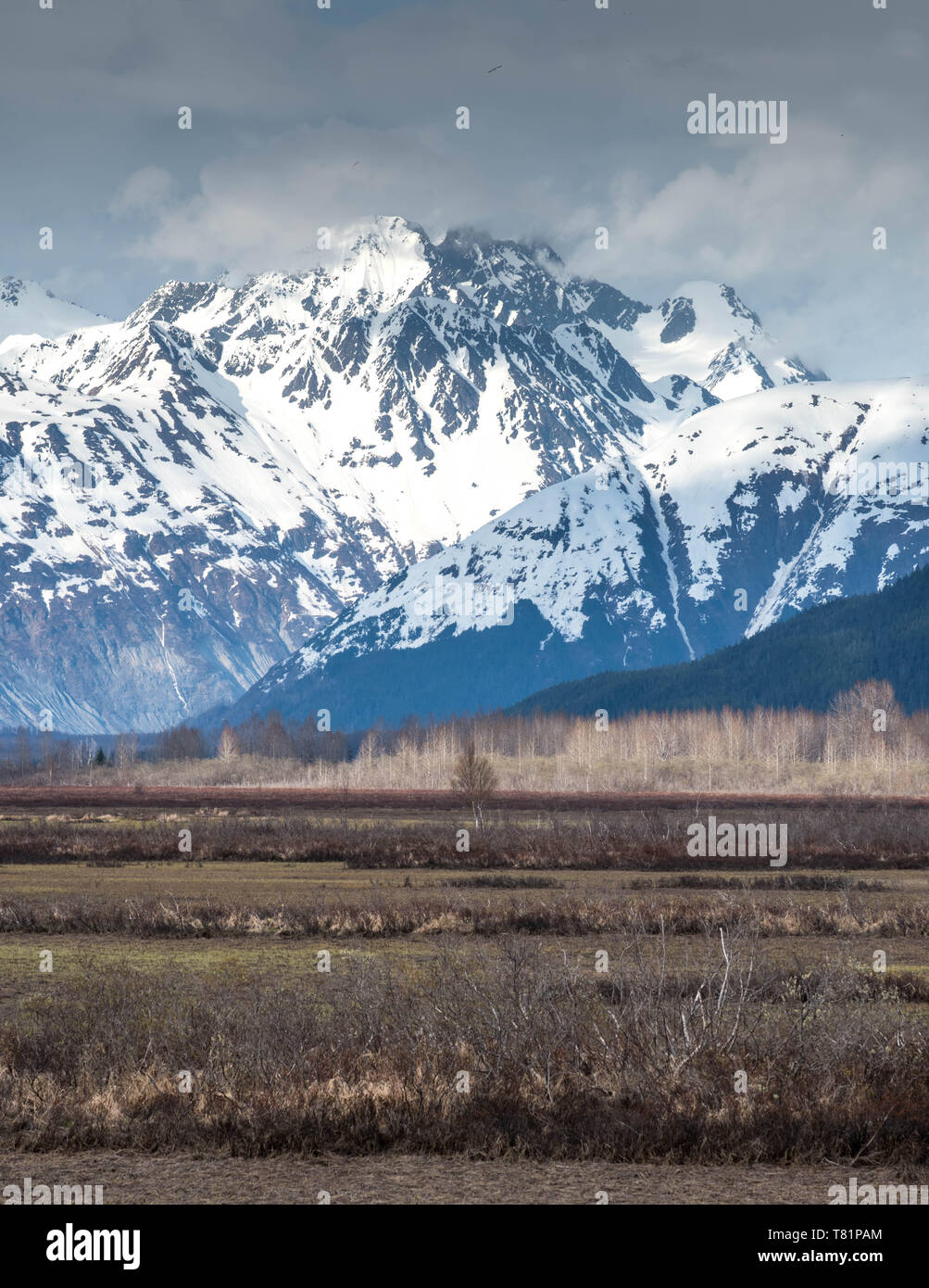 Majestätische Berglandschaften aus dem südlichen Alaska Stockfoto