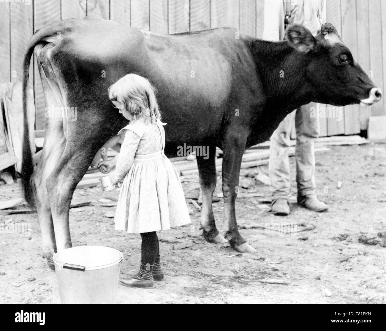 Junge Milchmagd, 1902 Stockfoto