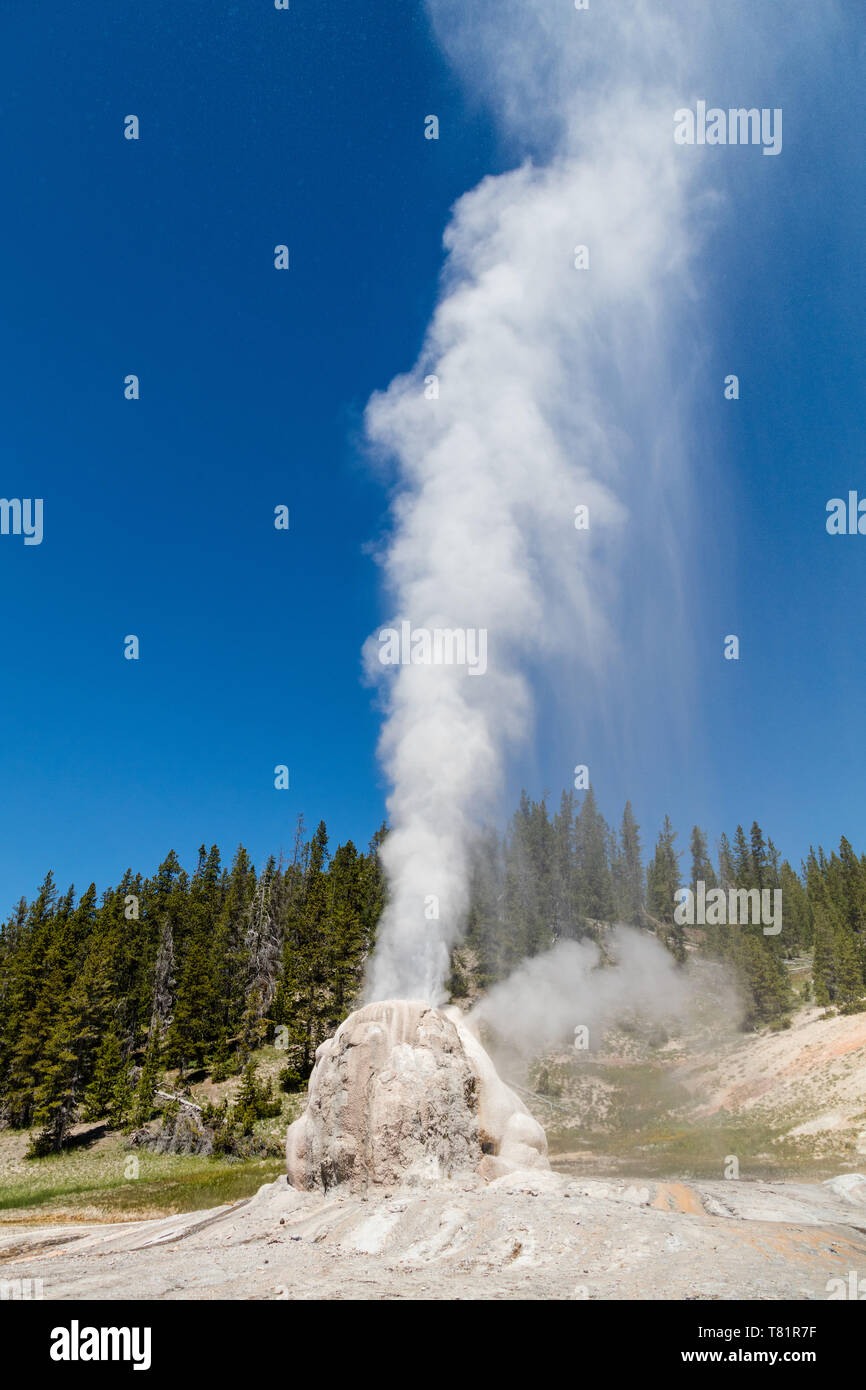 Lone Star Geyser Stockfoto