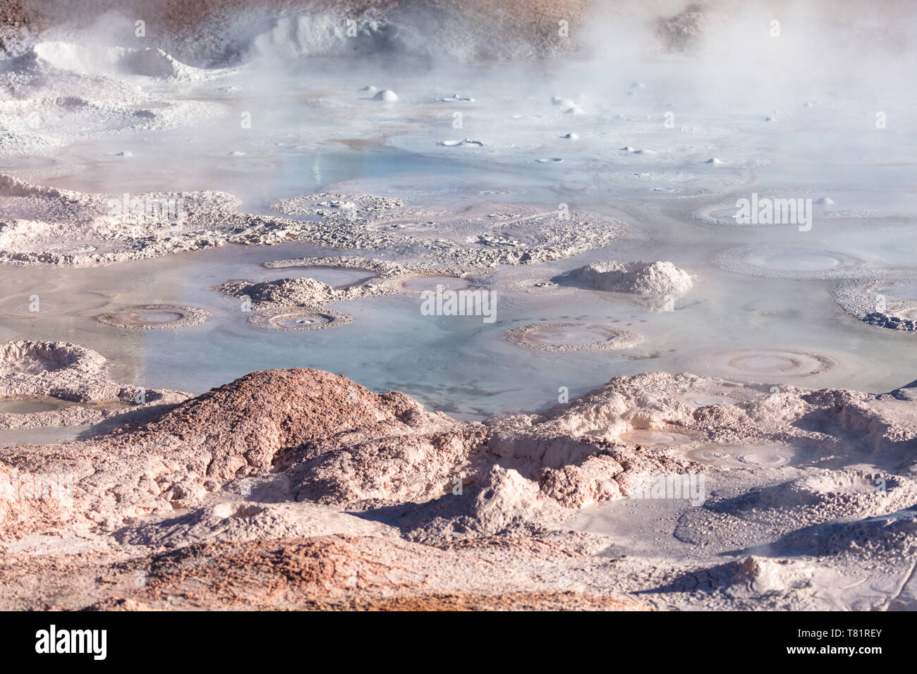 Fountain Paint Pot, Yellowstone Stockfoto