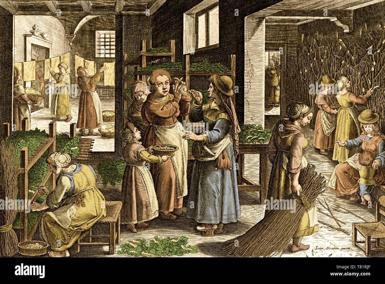 Pflege der Seidenraupen, Seide in Europa, 16. Jahrhundert Stockfoto
