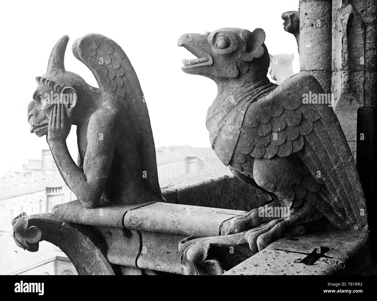 Notre-Dame de Paris, Wasserspeier und Vogel, 1918 Stockfoto