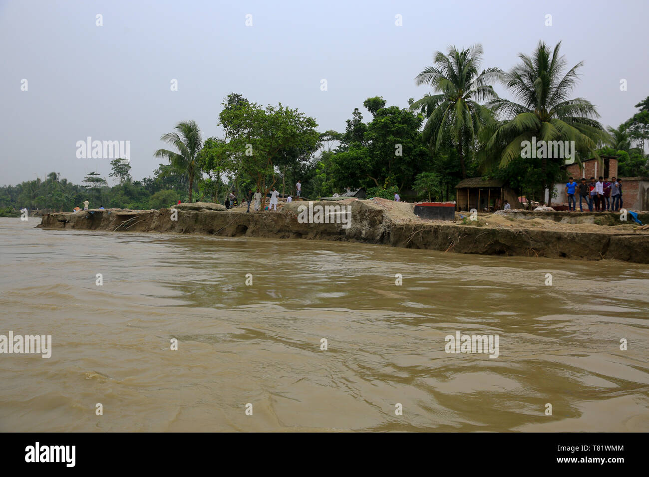 Der mächtige Fluss Padma hat eine Reihe von Gebäuden in Bashbari und Mulfatganj von Naria in Shariatpur verschlungen wie River erosion Hard die Bereiche getroffen hat. Ein Stockfoto